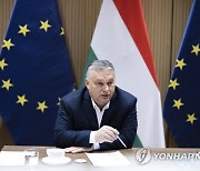 HUNGARY EU DIPLOMACY