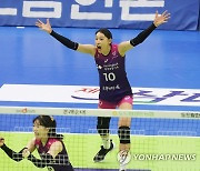 환호하는 김연경