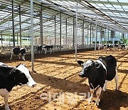 경기도, 가축행복농장 인증제 신규 참여 농가 모집