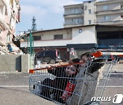 살아남았지만 돌아갈 곳 잃은 아이들