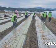 함안군, 농촌인력중개센터 운영…인력난 해소 기여