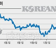 날개 꺾인 대한항공...고수익 화물 매출 줄고 아시아나 M&A도 불투명