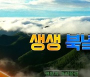 [단독] KT ‘통일TV’ 송출 멋대로 중단했다…과기부 “과태료 부과”