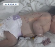 잔해에서 태어난 새 생명‥기적의 순간들