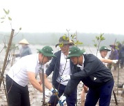산림청, 베트남서 기후변화 대응…맹그로브숲 조성 본격화