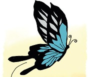 [시로 여는 수요일]나비가 쓰고 남은 나비