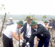 기후변화 대응, 블루카본의 보고인 맹그로브숲 조성