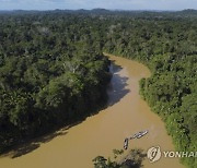 Brazil Squeezes Illegal Miners