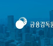 금감원, '보험사 책임준비금 외부검증 개선 TF' 구성
