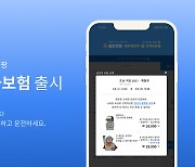 악사손보, 제주렌터카 플랫폼 '돌하루팡'과 제휴운전자보험 출시