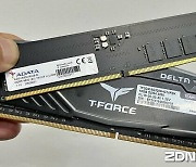 데스크톱용 DDR5 메모리 판매량 상승..."16GB가 대세"