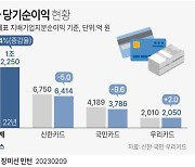 카드사 지난해 실적 선방...4분기부터 실적 급강