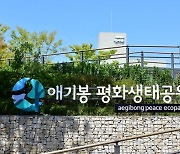 김포 애기봉평화생태공원, '2023 강소형 잠재관광지 공모' 선정