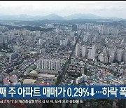 울산 2월 첫째 주 아파트 매매가 0.29%↓…하락 폭 둔화