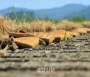 광주·전남 강우량, 1973년 이후 두번째로 적어···농사 등 차질 우려
