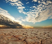 오존 늘리는 주범은 '가뭄'…"인간 건강까지 위협"