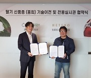 올레팜, 딸기 신품종 홍희 전용실시권 계약 체결