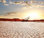 “지구촌 덮친 심각한 가뭄” 호흡기 질환 위험 높인다