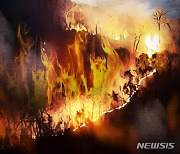 충남 금산서 밭두렁서 화재…70대 숨진 채 발견