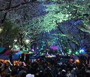 4년 만에 열리는 부천시 3대 봄꽃 축제···추진위 구성