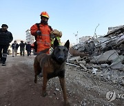 튀르키예 지진 현장 누비는 구조견