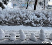 [오늘의 날씨] 강원(10일, 금)…남부산지 최대 5㎝ 눈, 전역 눈이나 비