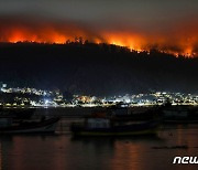 해안 마을까지 덮친 칠레 산불