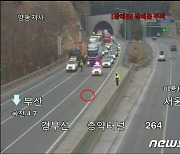 경부고속도로 4㎞ 휘저은 유기견 구출작전…'한바탕 소동'