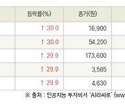 [fnRASSI]오늘의 상한가, 꿈비 30.0% ↑