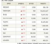 [fnRASSI]장마감, 거래소 상승 종목(태양금속우 29.9% ↑)