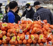 1년 만에 200% 폭등…눈물 쏙 빼는 양파값 [한경제의 신선한 경제]