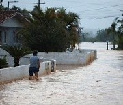 늪에 살던 악어까지 도심 출몰…브라질 폭우로 '6명 사망'