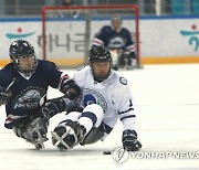 전국장애인동계체육대회 아이스하키 강원·인천 경기