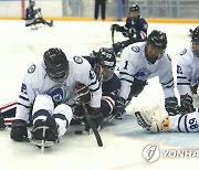 전국장애인동계체육대회 아이스하키 강원·인천 경기