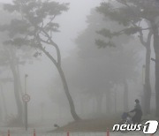 짙은 안개 속 포근한 봄기운…대전충남 주말 나들이객 부쩍 늘어