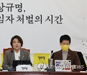 정의당 `김건희 특검`에 사실상 반대...민주당 계획 차질 빚나