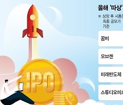 IPO시장 중소형주 ‘훨훨’ 나는데… 몸값 높은 대형주 ‘쩔쩔’