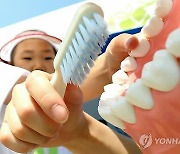 [Health 건강] 올바른 영유아 치아관리 버릇 여든까지 간다