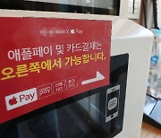 ‘애플페이’ 국내 도입 앞두고 수혜주 롤러코스터...지금 사도 될까