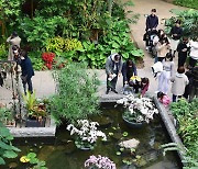 열대식물 활짝 핀 서울식물원