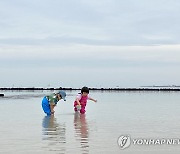 제주 바다 '원담' 물놀이 즐기는 어린이들