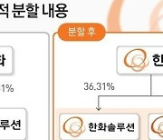 한화솔루션, 갤러리아 인적분할 승인…"3세 김동선 경영 본격화"