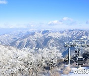 개장 한 달여 1만9200명 찾은 가리왕산 케이블카…'브랜드 개발 주력'