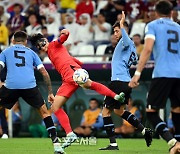 4달 만의 '리턴매치'...한국, 3월 A매치 두 번째 상대는 우루과이