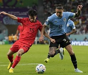 월드컵 후 넉달 만에…한국, 우루과이와 3월 재대결