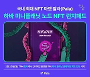 인터체인 플랫폼 하바, 팔라에서 미니플래닛 노드 NFT 판매 예고