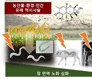 [지금은 과학] 오염된 농산물→먹이사슬→수명 단축