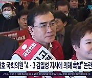 태영호 국회의원 "4·3 김일성 지시에 의해 촉발" 논란