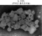 폴리코사놀 건강기능식품, 중국산은 유효성분 절반 수준