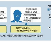 "은퇴자금 예금 5억뿐인데 … 건보료 年 200만원 날벼락"